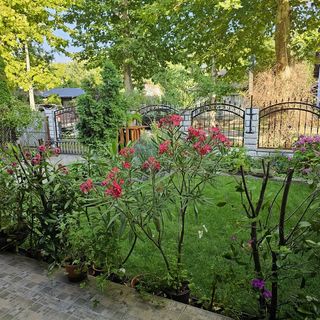 Otis Apartman Siófok (5)