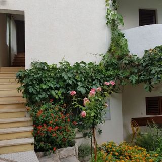 Apartments Vrtina Igrane (5)