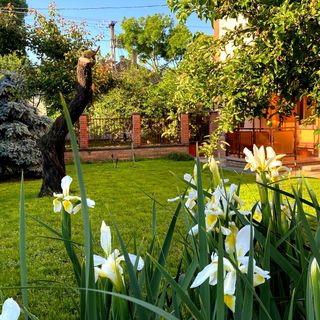 Júlia Apartmanház Szeged (2)