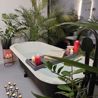 Black Walnut House Homorâciu (2)