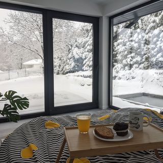 Black Walnut House Homorâciu (5)