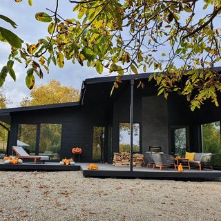 Black Walnut House Homorâciu (3)