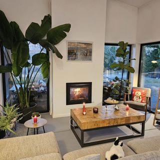 Black Walnut House Homorâciu (4)