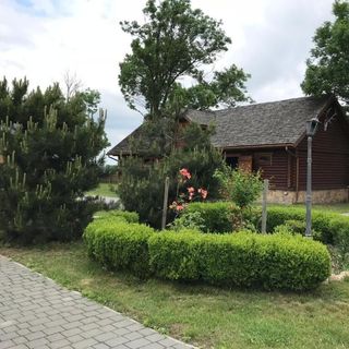 Pensjonat Paskudy (3)