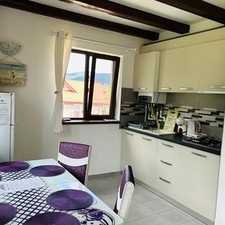 Panoramic View Apartment Buşteni (5)