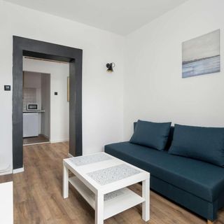 Wierzbięcice 18 | Przytulne Studio | Centrum Poznań (2)