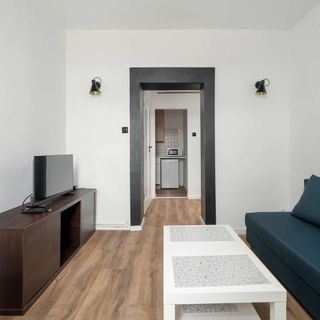 Wierzbięcice 18 | Przytulne Studio | Centrum Poznań (4)