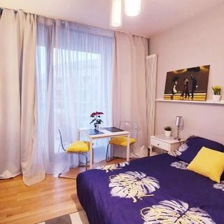 HomeComfort Apartament Adonis (4)