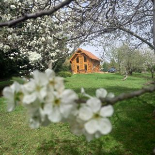 Alpokalja Rönkház Bozsok (4)