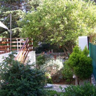 Apartments Maja Novalja (4)