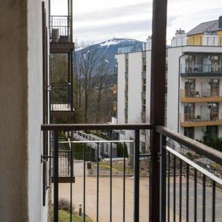 Karkonosky Apartamenty - Zapach Lasu (5)