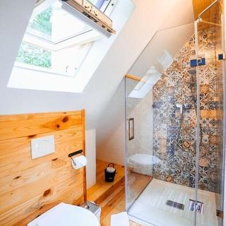 Casa lu' Ion Vișeu de Sus (3)