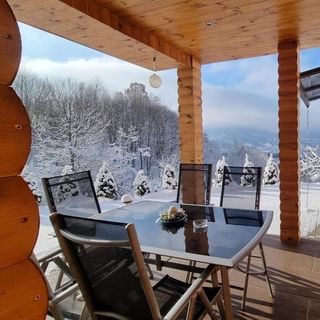 La casa din deal Vișeu de Sus (2)