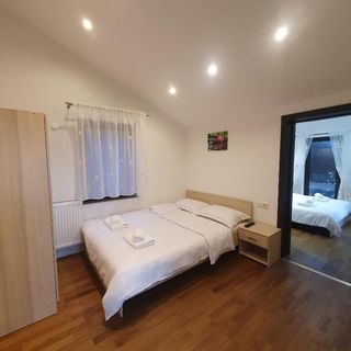 La casa din deal Vișeu de Sus (4)