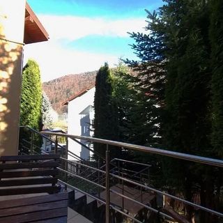 Marble Villa: Luxury Estate - Central but Intimate Sinaia (4)