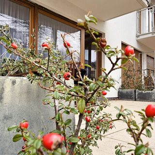 visit baltic - Rezydencja Sienkiewicza Loft przy plaży (RS2.21) (5)