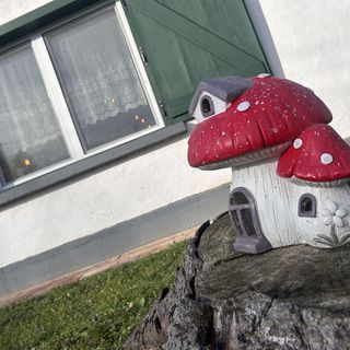 Kunyhó Egeraracsa (3)