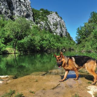 Vendégház Zadvarje - CSC746 (5)