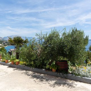 Apartman Omiš - CSC765 (2)