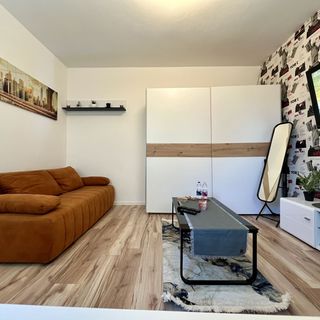 Great Forest Chill Apartment Three Debrecen (2)