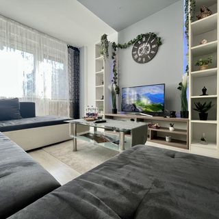 GreatForestSportAndSpaUniversity Apartman Debrecen (2)