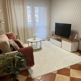 Brookforest Centrum Apartman Debrecen (5)