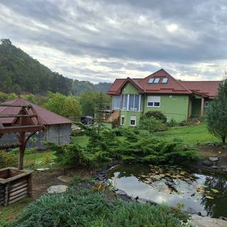 Vila Prieteniei Prod (4)