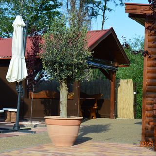 Szamos-Lak Géberjén (5)