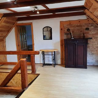 Między lasem a jeziorem Czarnówka (5)