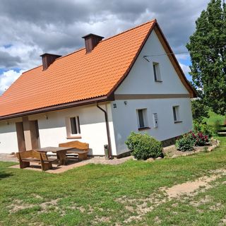 Między lasem a jeziorem Czarnówka (2)