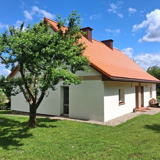 Między lasem a jeziorem Czarnówka (3)