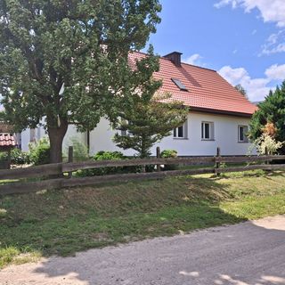 Między lasem a jeziorem Czarnówka (4)