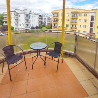 Apartament Zacisze na Polnej Toruń (4)