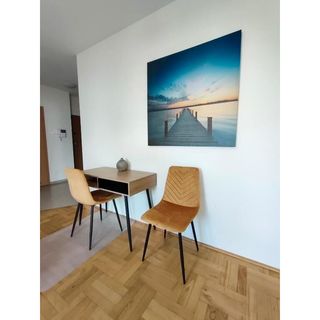 Apartament Zacisze na Polnej Toruń (5)