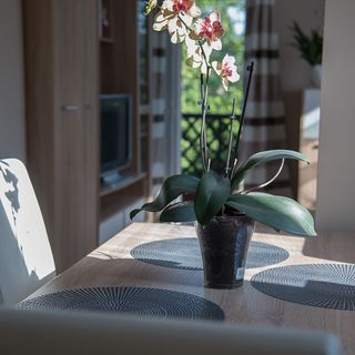 Orchidea Apartman Balatonkenese (2)