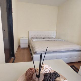 Interex Apartment Sibiu (4)