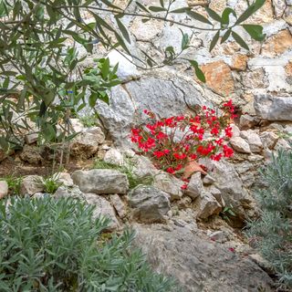 Apartment Mladen Drage (4)