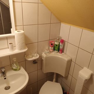 Noclegi z ogrodem Krościenko (4)