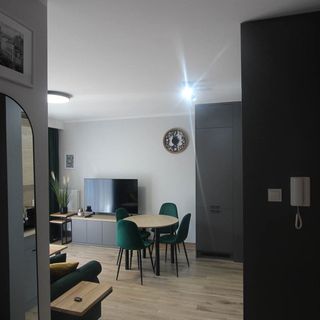 Apartament Malachitowy Toruń (4)