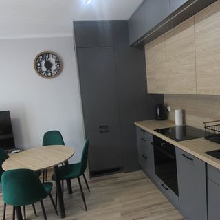 Apartament Malachitowy Toruń (5)
