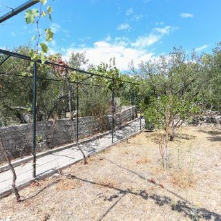 House Marcelo Vinisce (5)