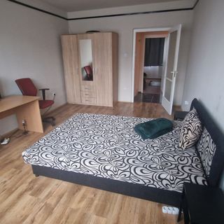 Hellheim Apartman Miskolc (4)