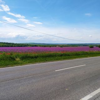 Chili Apartman Harkány (4)