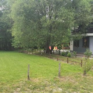 Pensiunea La Poalele Bucegilor Râșnov (5)