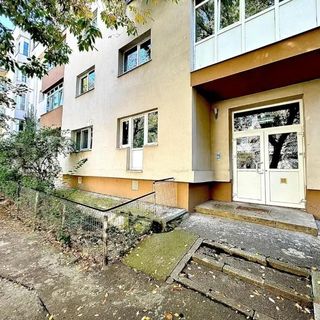 Pensiunea 3 Băneasa Airport București (2)