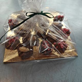 Tündér-lak Apartman Tata (4)