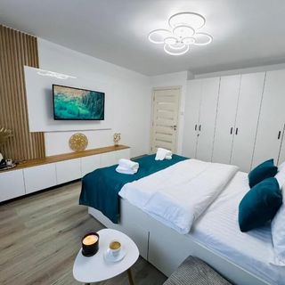 Apartament MarbleHome Straja-Lupeni (5)