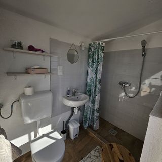 Alpaka Bakonya Faház (4)