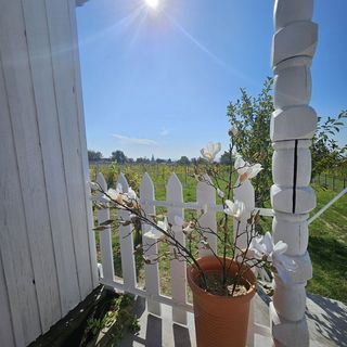 Alpaka Bakonya Faház (5)