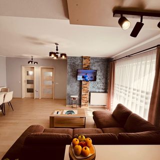 TED'S Residence Sibiu (3)